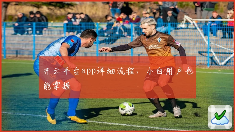 开云平台app详细流程,小白用户也能掌握