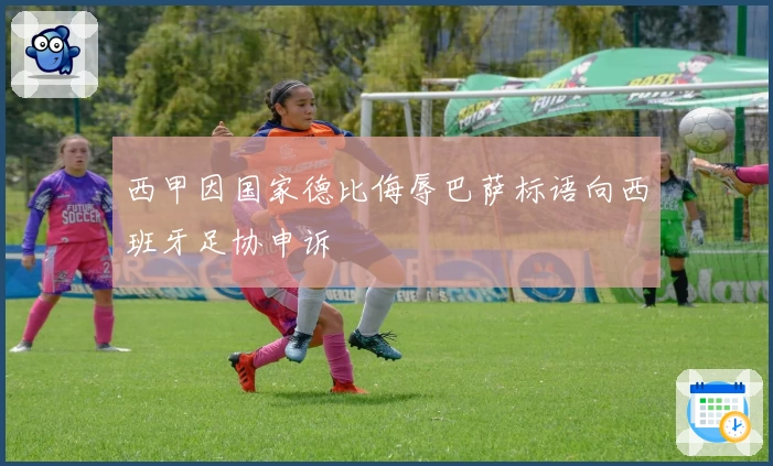 西甲因国家德比侮辱巴萨标语向西班牙足协申诉